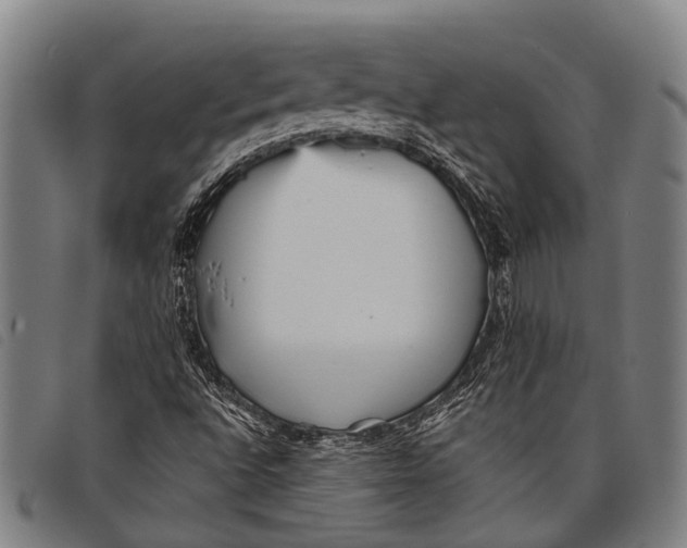 X0000097851496200804041454