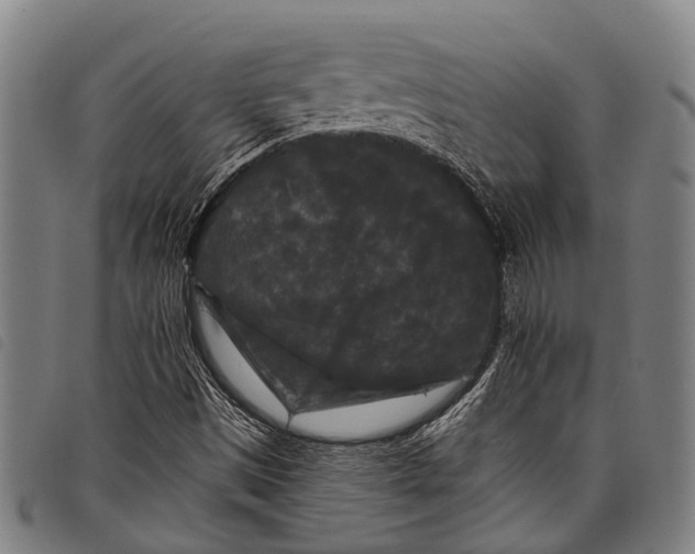 X0000097851497200804041454