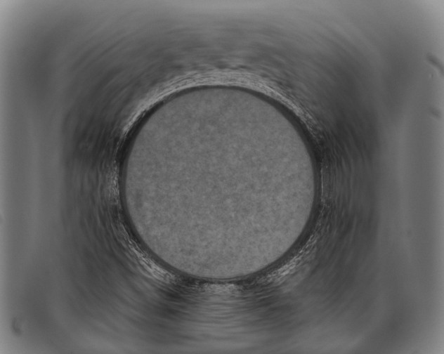 X0000097851498200804041454