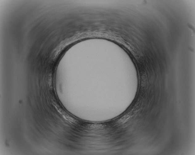 X0000097851499200804041454