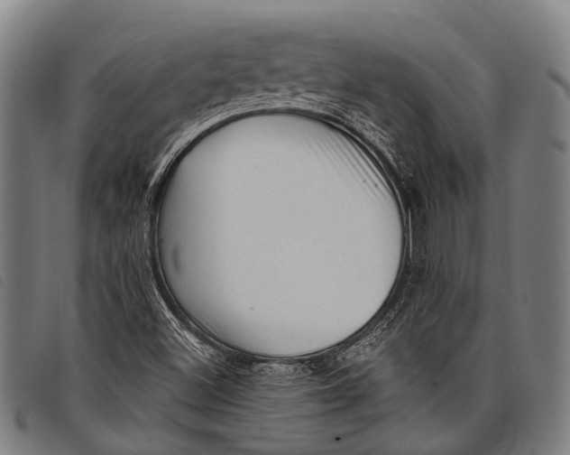 X0000097851500200804041454