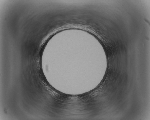 X0000097851502200804041454