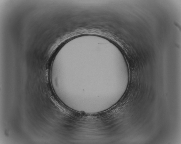 X0000097851503200804041454