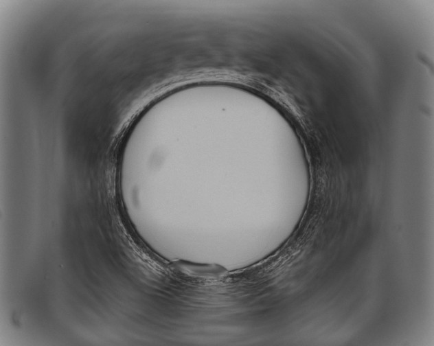 X0000097851504200804041454