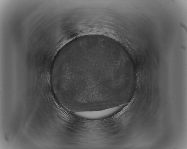 X0000097851505200804041454