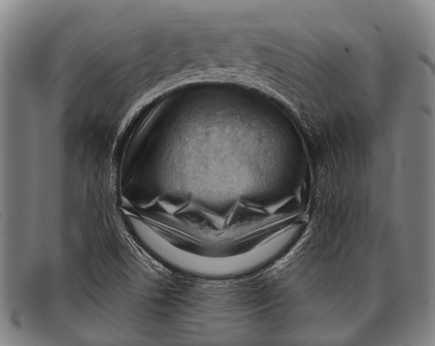 X0000097851506200804041454