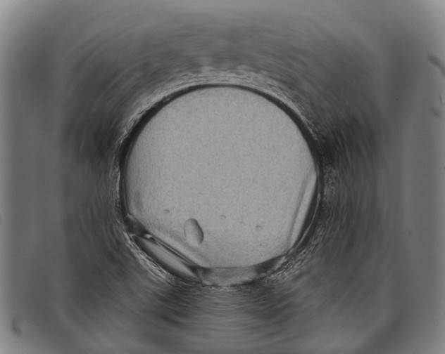 X0000097851507200804041454