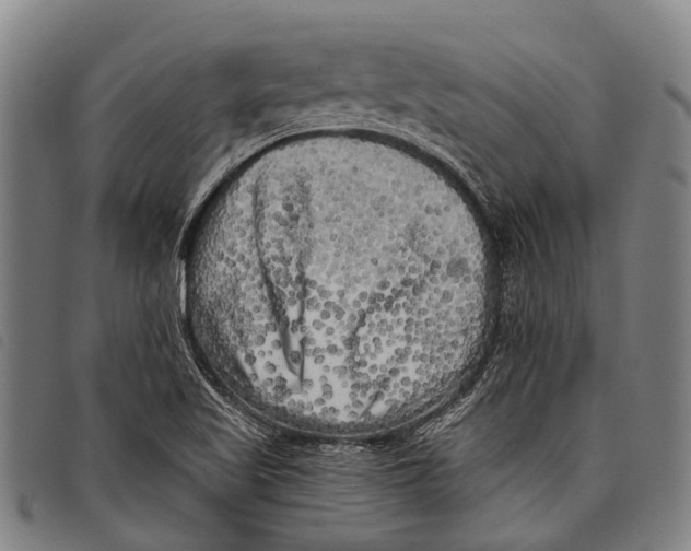 X0000097851509200804041454