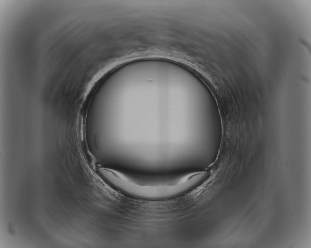 X0000097851510200804041454