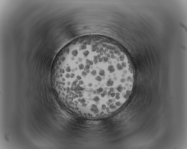 X0000097851513200804041455