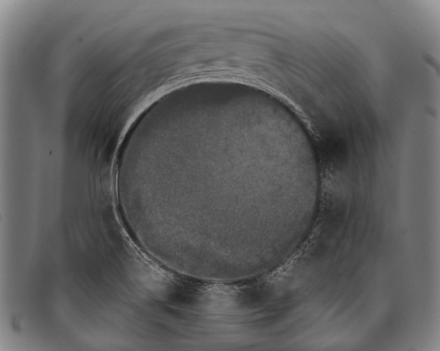 X0000097851514200804041455