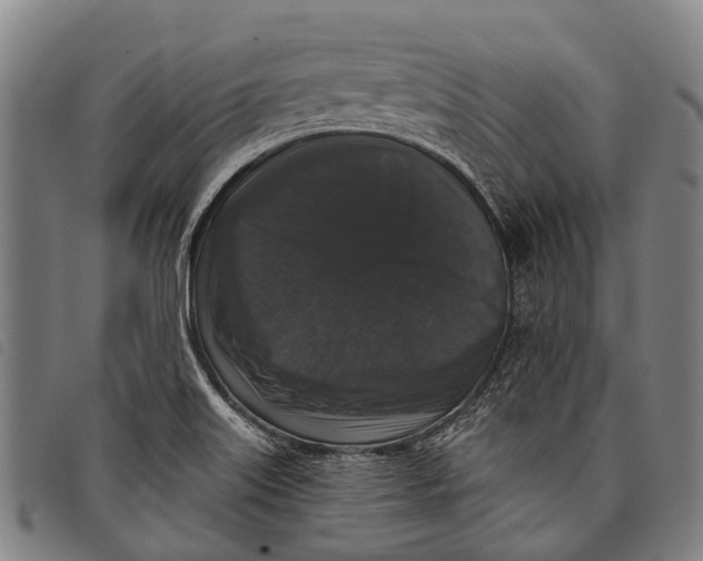 X0000097851515200804041455