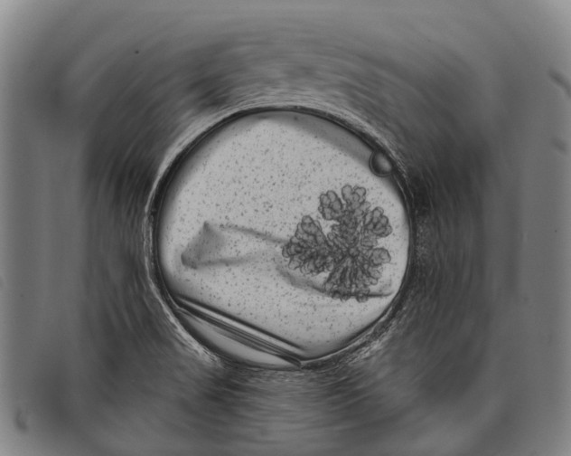 X0000097851517200804041455