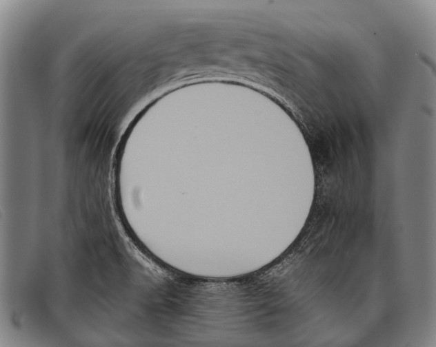 X0000097851518200804041455