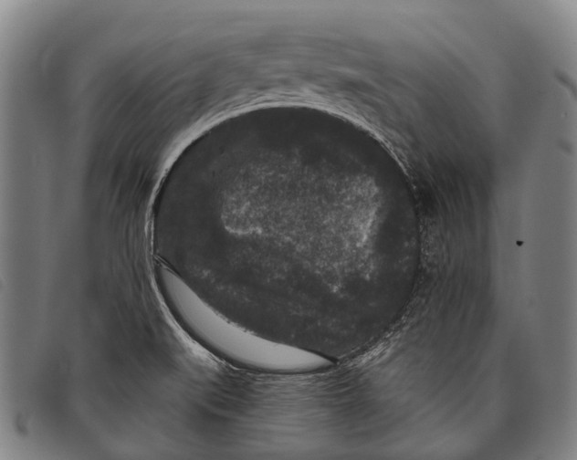 X0000097851519200804041455