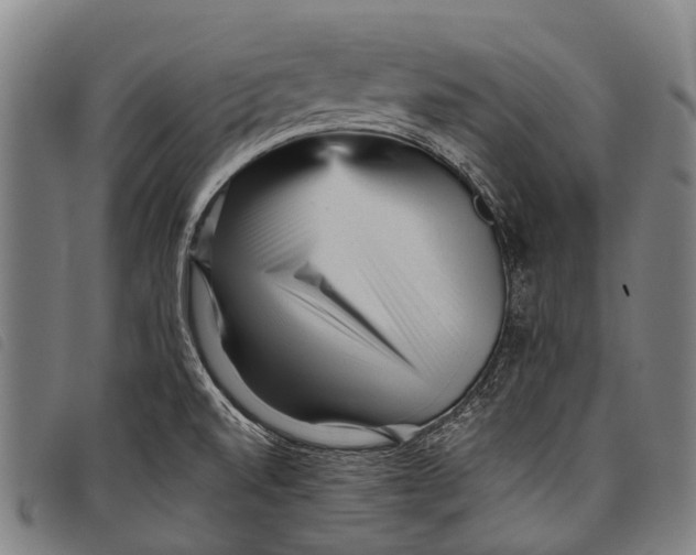 X0000097851520200804041455