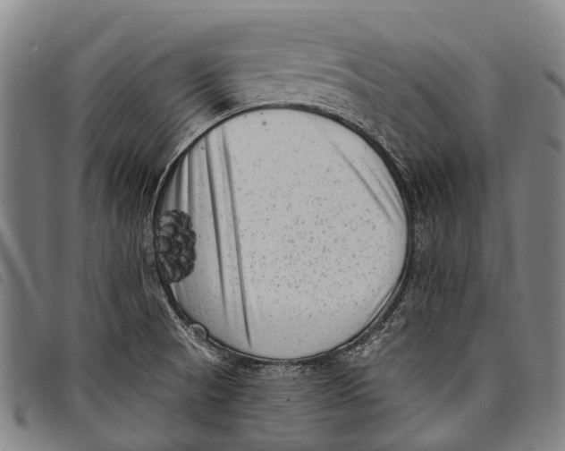 X0000097851521200804041455