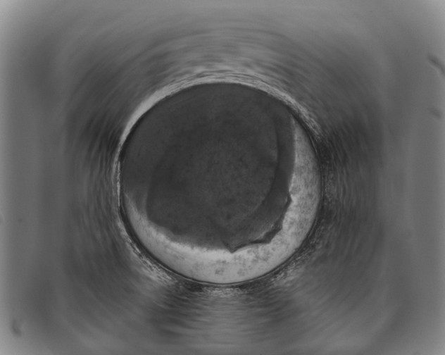 X0000097851522200804041455