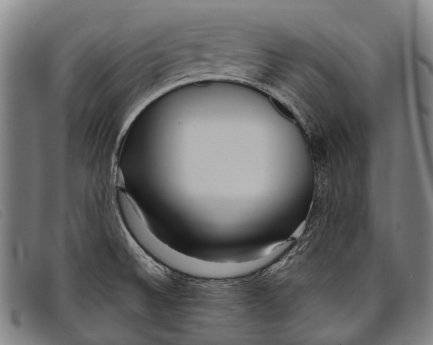 X0000097851524200804041455