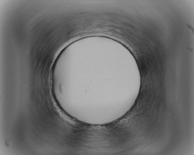 X0000097851526200804041455