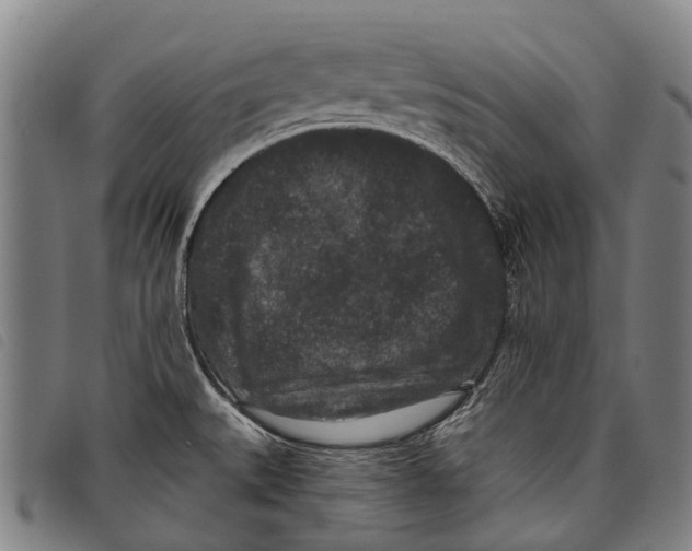 X0000097851527200804041455