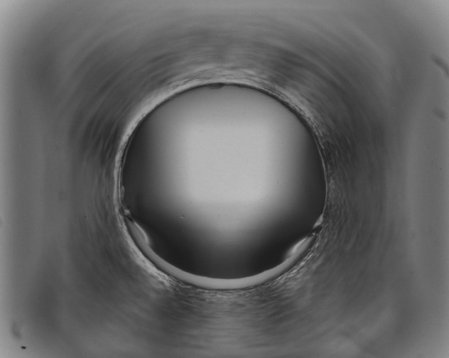 X0000097851528200804041455