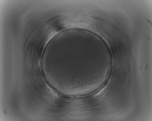 X0000097851529200804041455