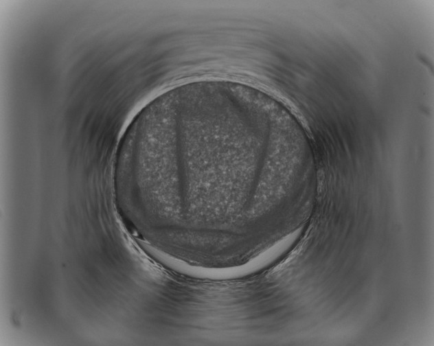 X0000097851530200804041455