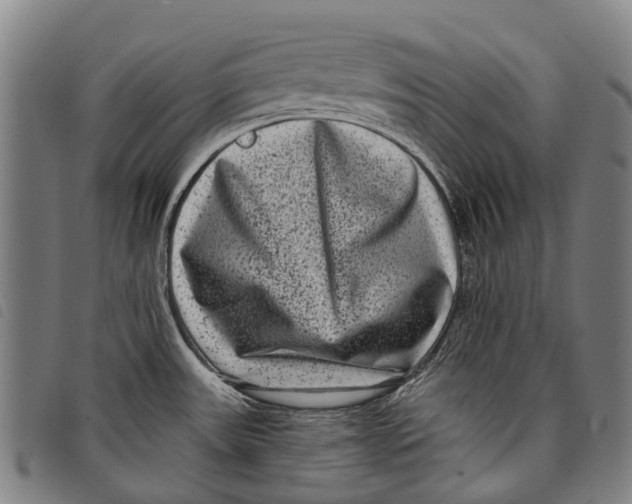 X0000097851531200804041455