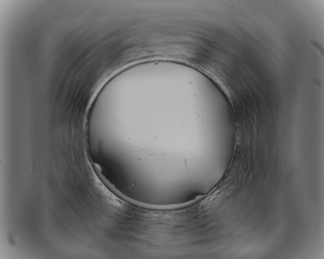 X0000097851532200804041455