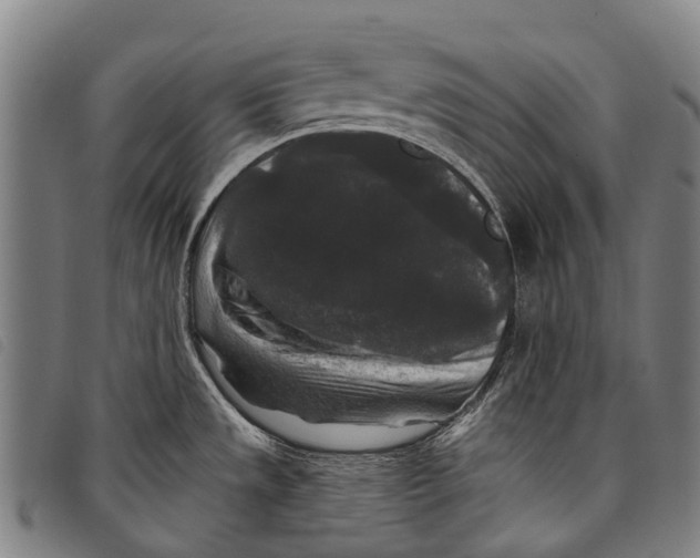 X0000097851533200804041455