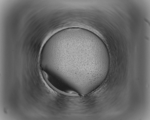 X0000097851536200804041455