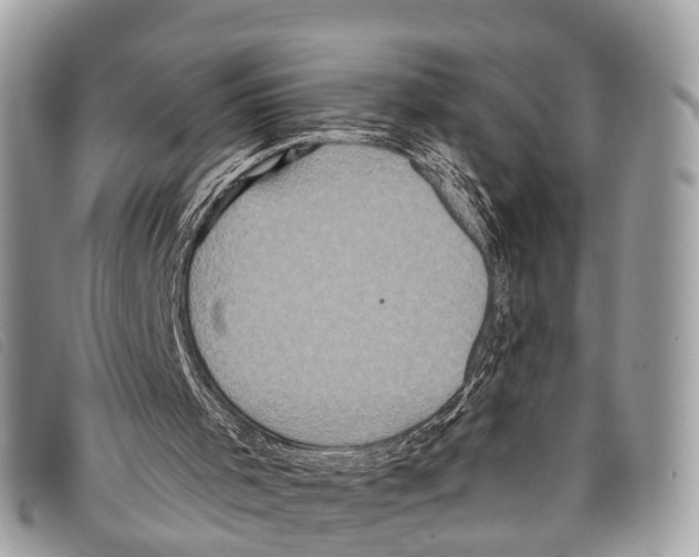 X0000097850001200804111139