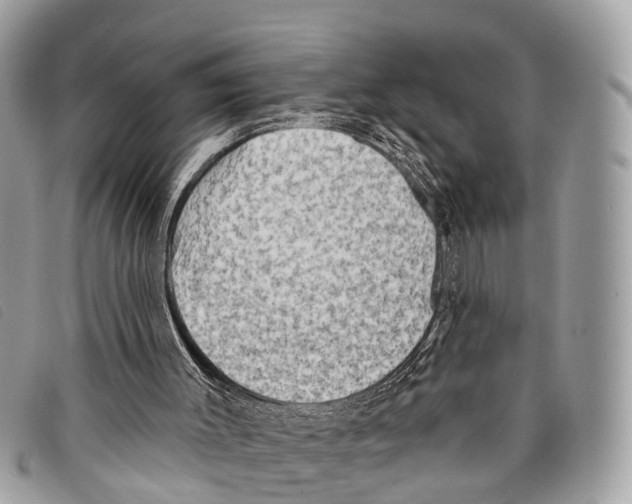 X0000097850003200804111139