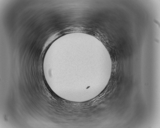 X0000097850004200804111139