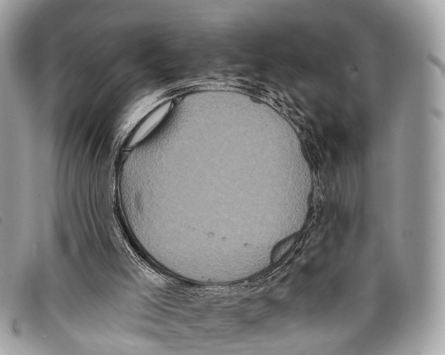 X0000097850005200804111139