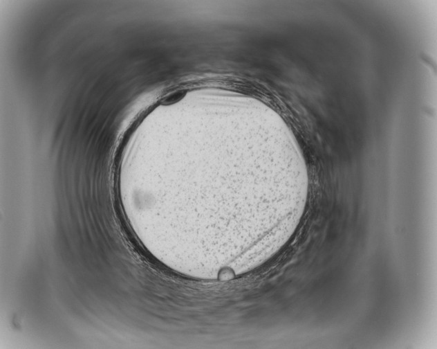 X0000097850006200804111139