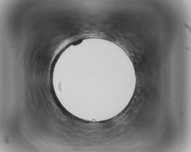 X0000097850008200804111139