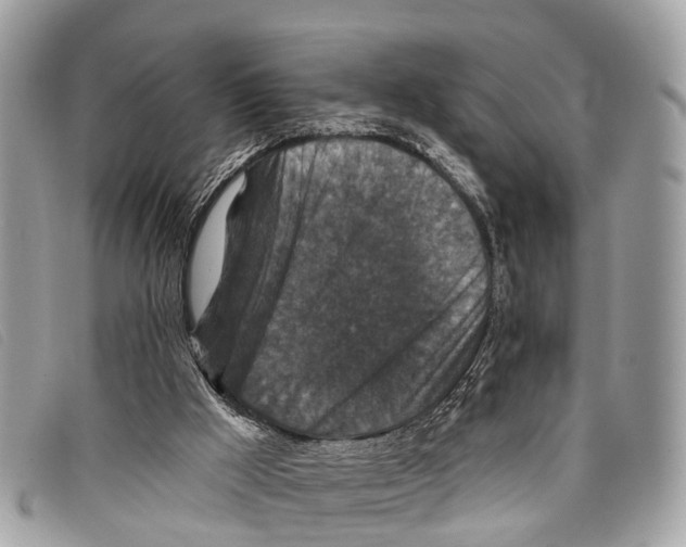 X0000097850009200804111139