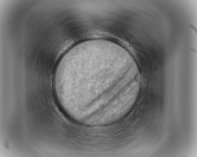 X0000097850010200804111139