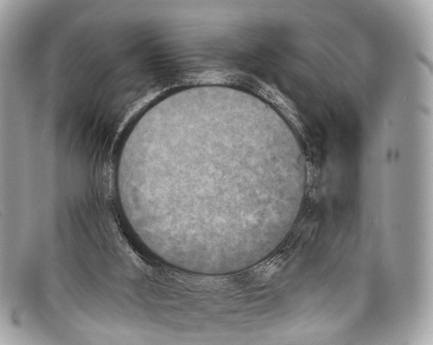 X0000097850012200804111139