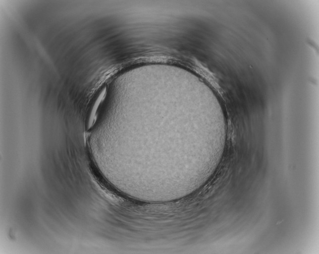 X0000097850013200804111139