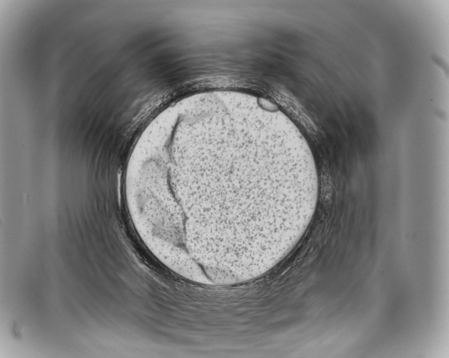 X0000097850014200804111139