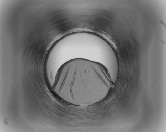 X0000097850015200804111139