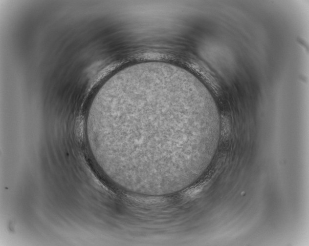 X0000097850016200804111139