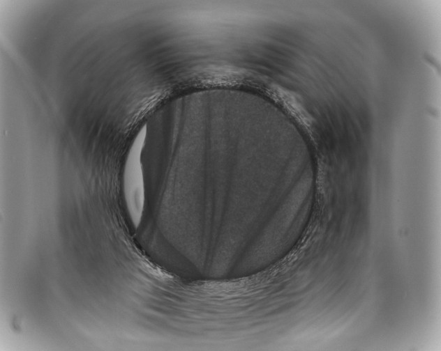 X0000097850017200804111139