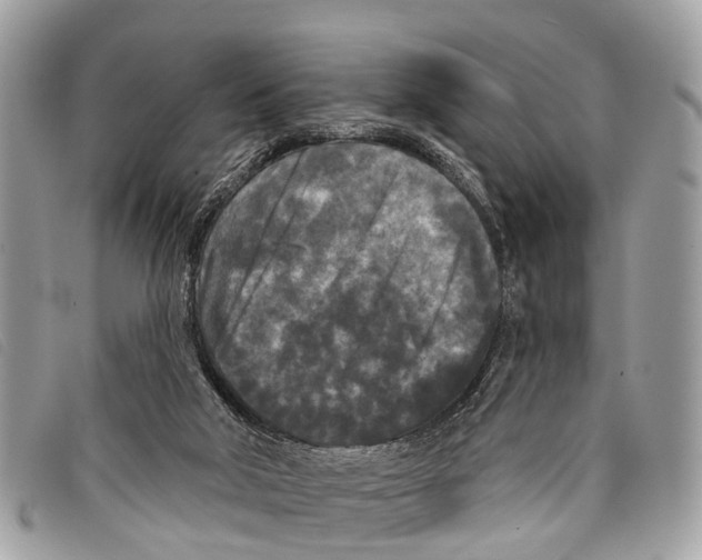 X0000097850018200804111139