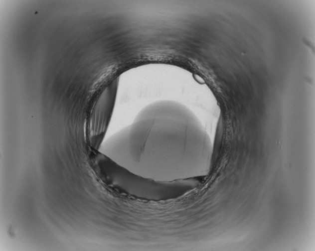 X0000097850019200804111139