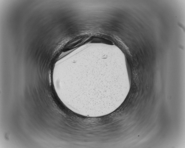 X0000097850020200804111139