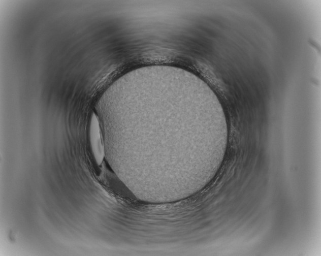 X0000097850021200804111139